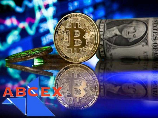 ABCex, EUFORIA и EXNODE — след Шухрата Расулова: под вывеской «ТЕРРЫ» работает сеть финансовых ловушек